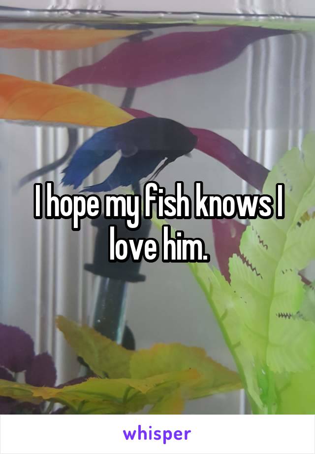 I hope my fish knows I love him.