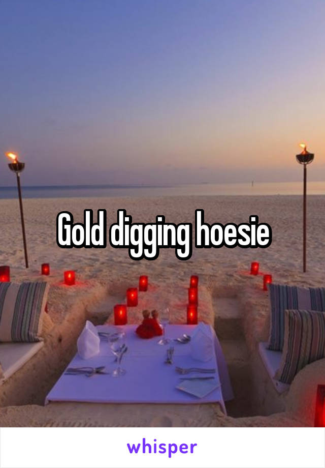 Gold digging hoesie