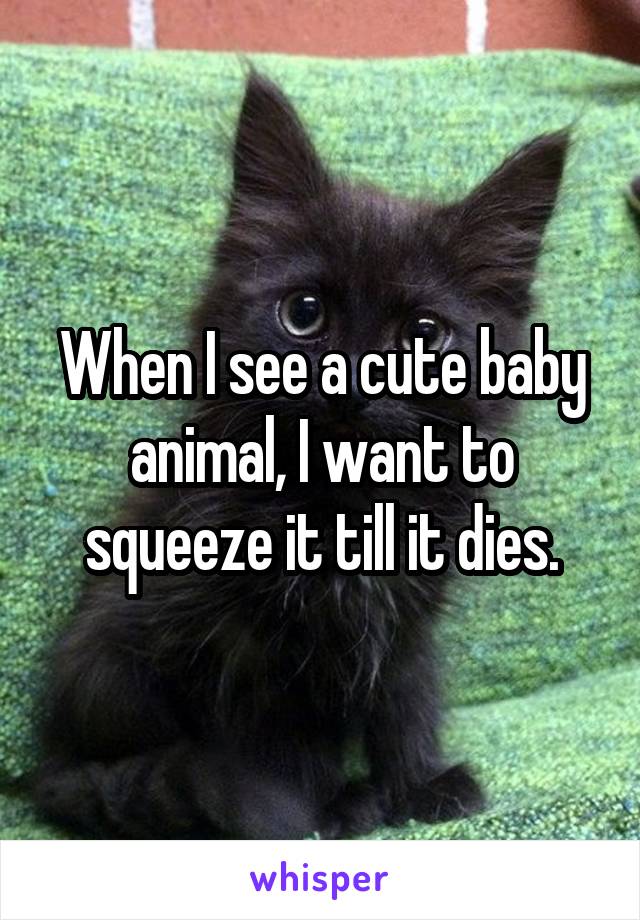 When I see a cute baby animal, I want to squeeze it till it dies.