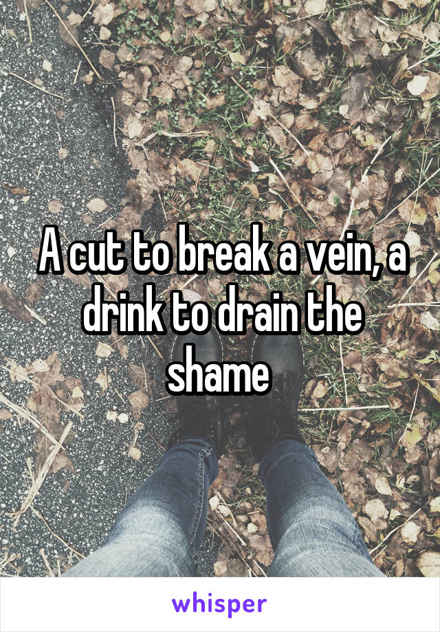 A cut to break a vein, a drink to drain the shame 