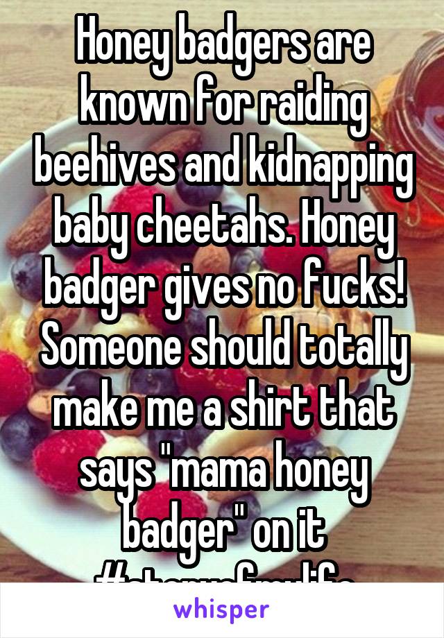 Honey badgers are known for raiding beehives and kidnapping baby cheetahs. Honey badger gives no fucks! Someone should totally make me a shirt that says "mama honey badger" on it #storyofmylife