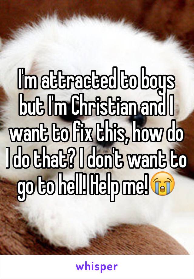 I'm attracted to boys but I'm Christian and I want to fix this, how do I do that? I don't want to go to hell! Help me!😭