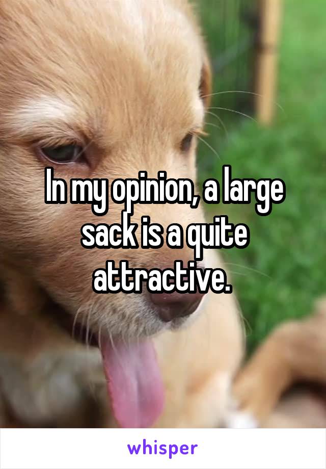 In my opinion, a large sack is a quite attractive. 