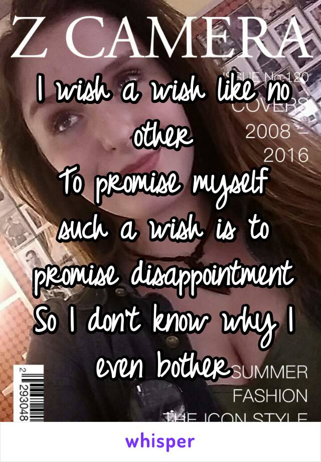 I wish a wish like no other
To promise myself such a wish is to promise disappointment
So I don't know why I even bother