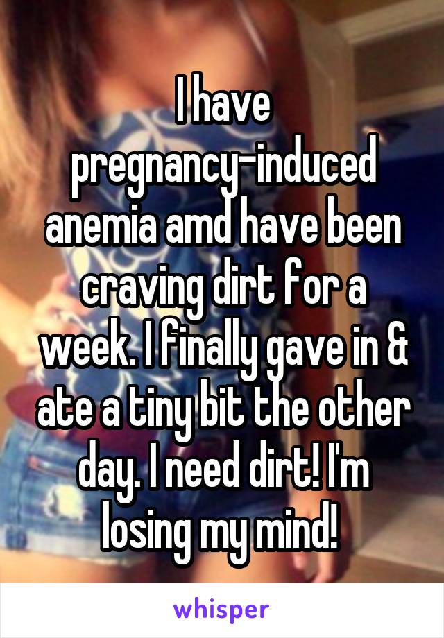 I have pregnancy-induced anemia amd have been craving dirt for a week. I finally gave in & ate a tiny bit the other day. I need dirt! I'm losing my mind! 
