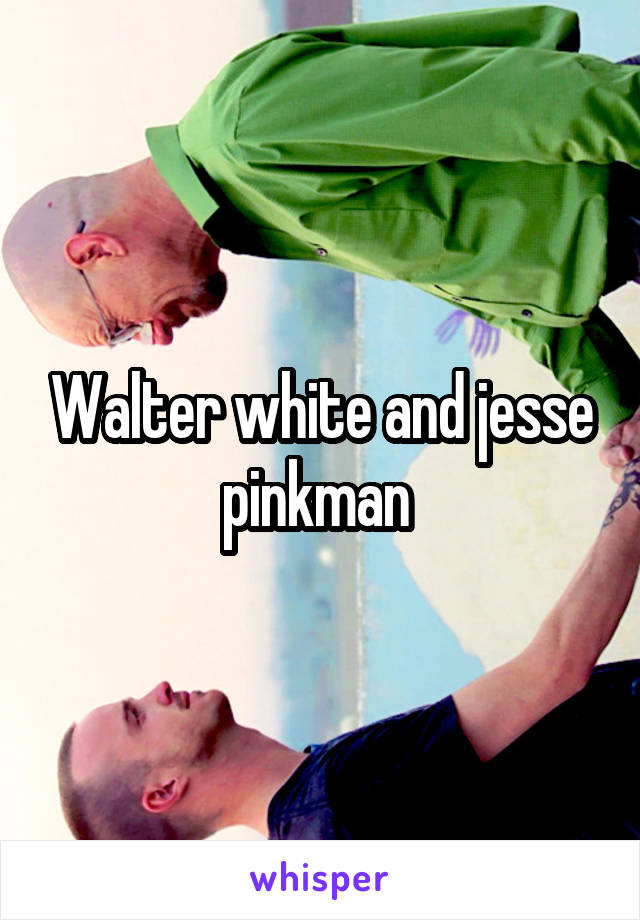 Walter white and jesse pinkman 