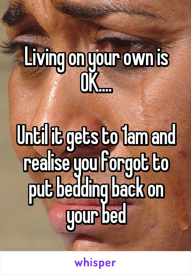 Living on your own is OK....

Until it gets to 1am and realise you forgot to put bedding back on your bed