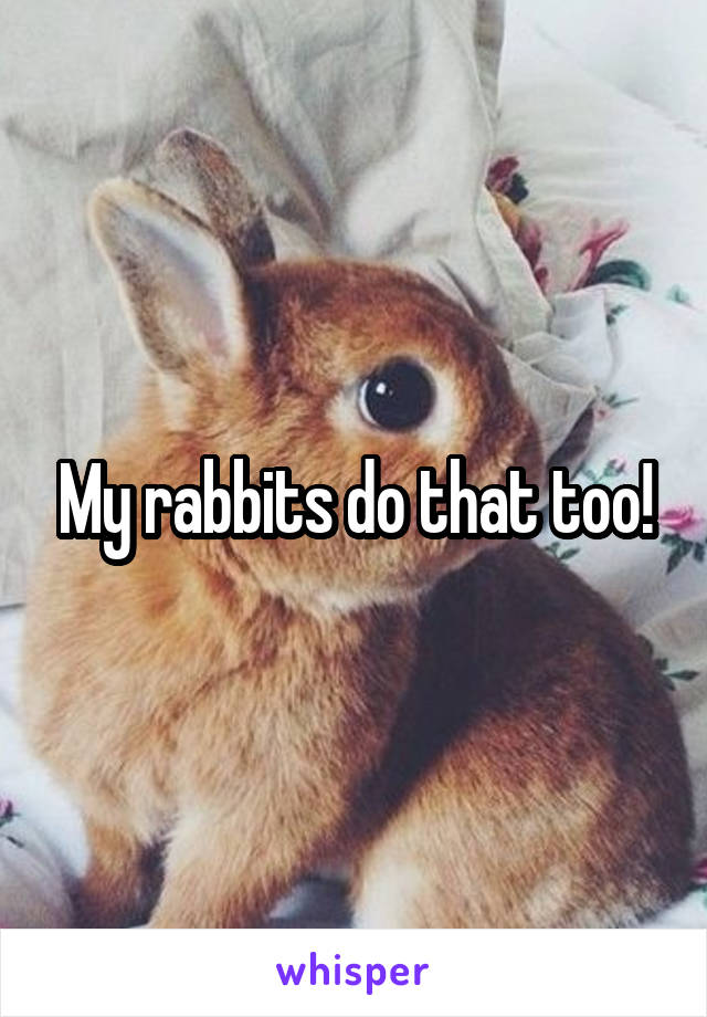 My rabbits do that too!