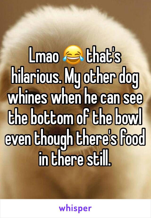 Lmao 😂 that's hilarious. My other dog whines when he can see the bottom of the bowl even though there's food in there still.