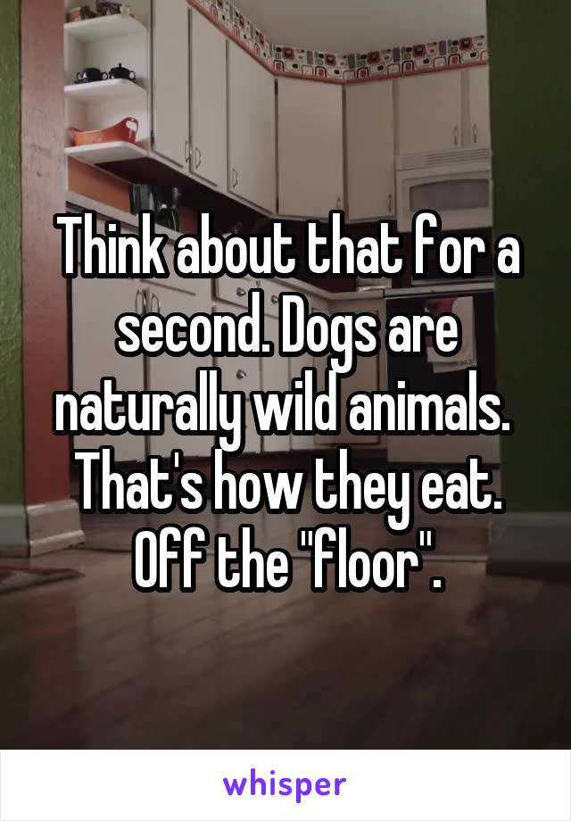 Think about that for a second. Dogs are naturally wild animals.  That's how they eat. Off the "floor".