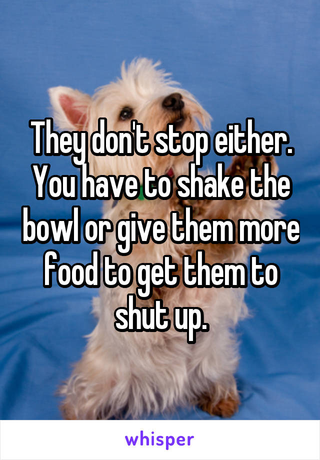 They don't stop either. You have to shake the bowl or give them more food to get them to shut up.