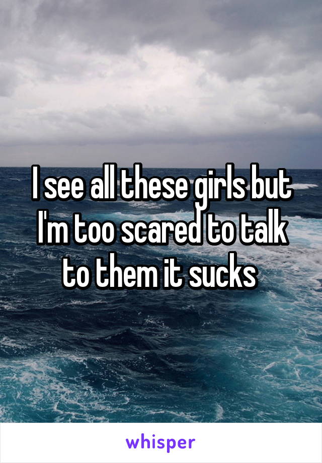 I see all these girls but I'm too scared to talk to them it sucks 
