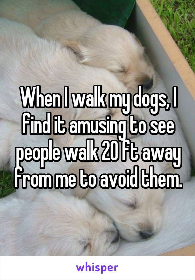 When I walk my dogs, I find it amusing to see people walk 20 ft away from me to avoid them.