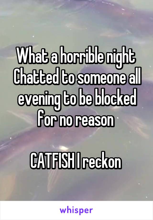 What a horrible night 
Chatted to someone all evening to be blocked for no reason 

CATFISH I reckon 