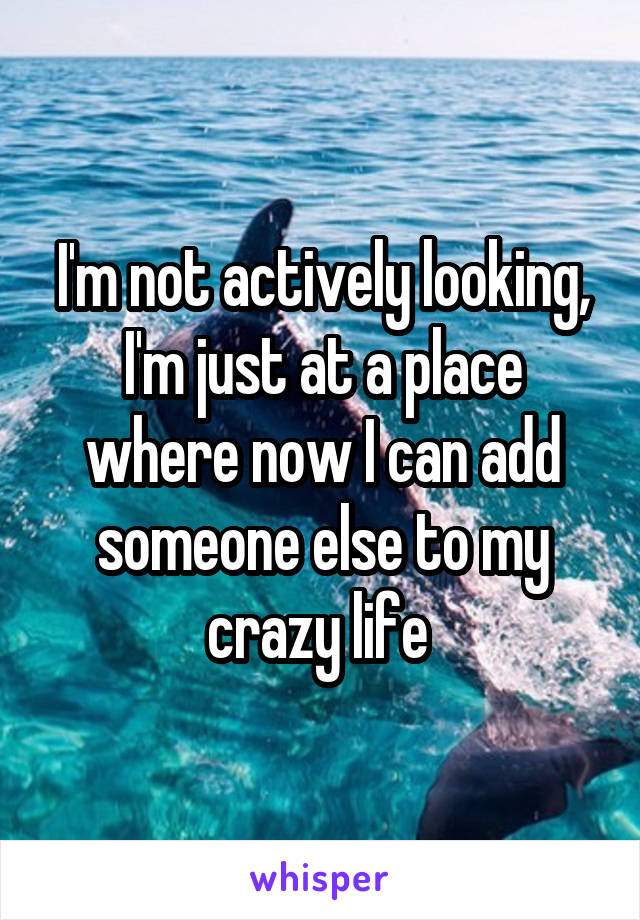 I'm not actively looking, I'm just at a place where now I can add someone else to my crazy life 