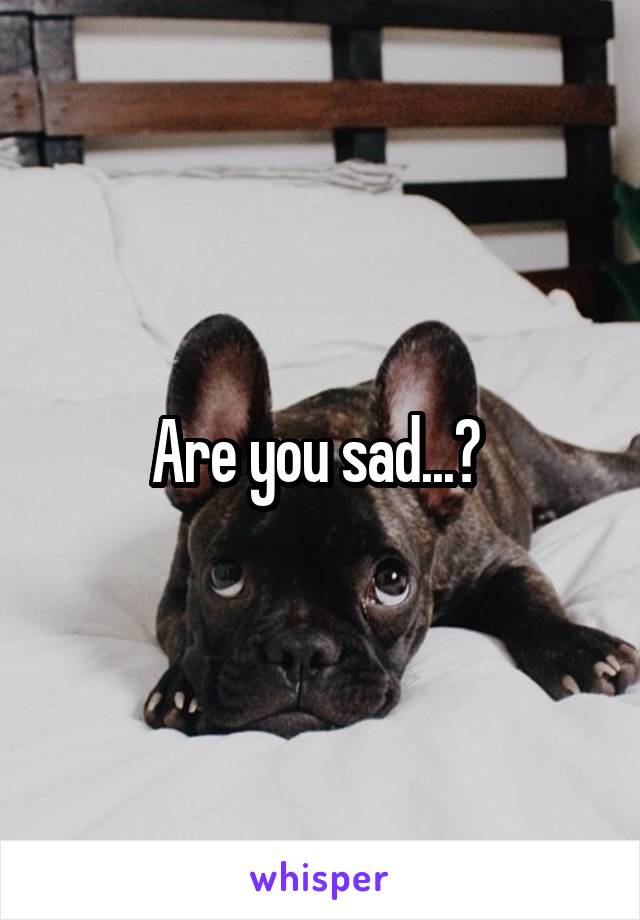 Are you sad...? 