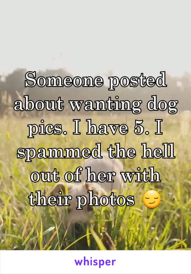 Someone posted about wanting dog pics. I have 5. I spammed the hell out of her with their photos 😏