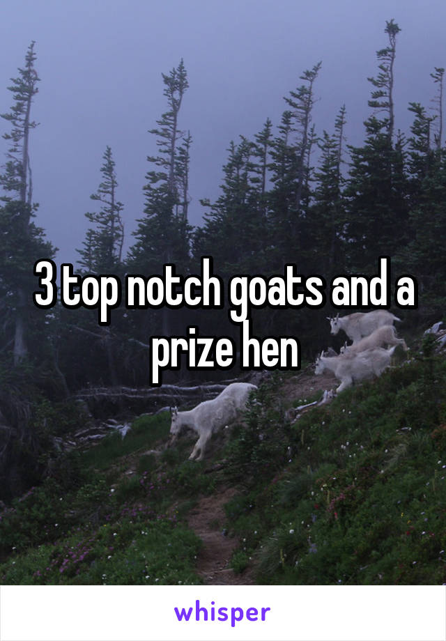 3 top notch goats and a prize hen