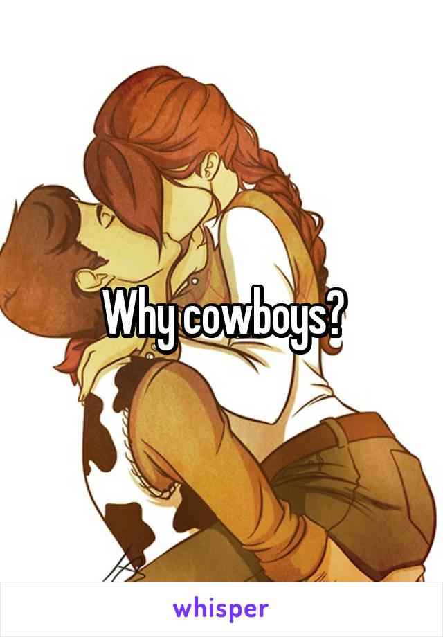 Why cowboys?
