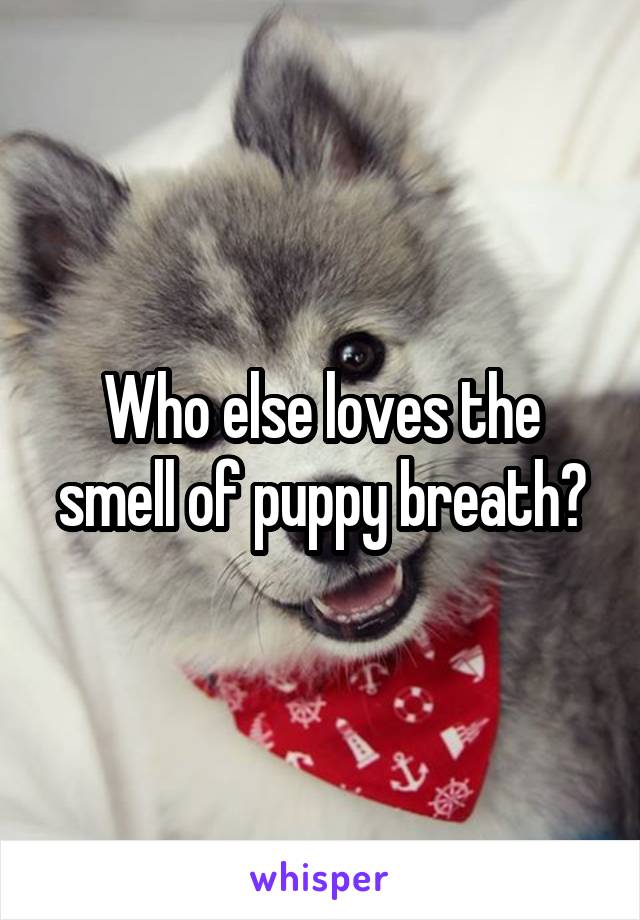 Who else loves the smell of puppy breath?