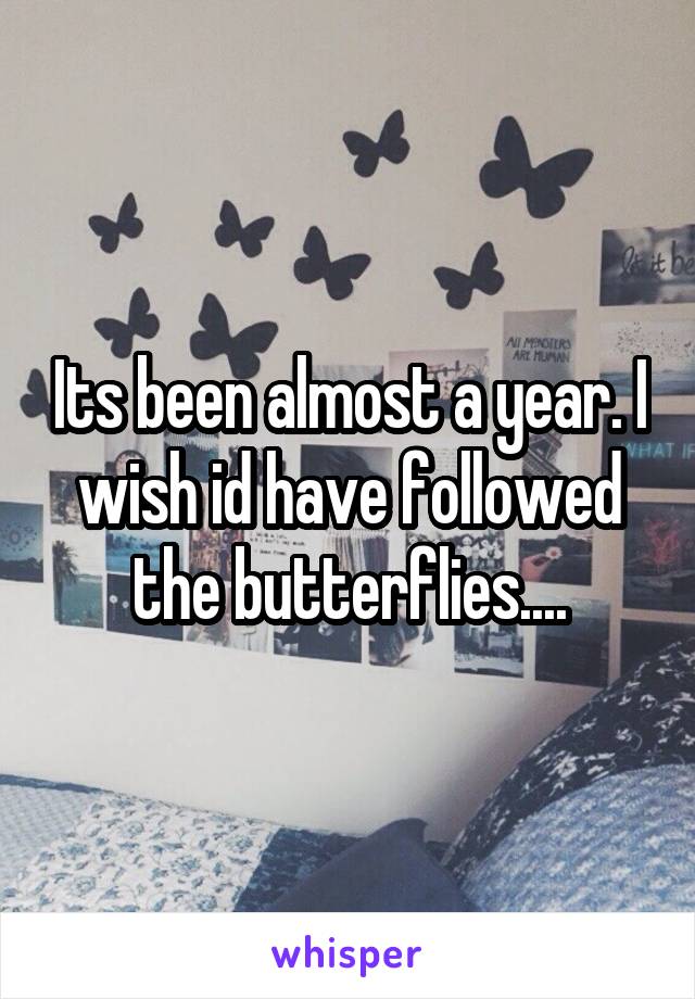 Its been almost a year. I wish id have followed the butterflies....