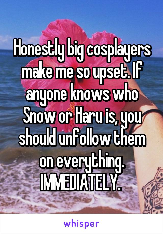 Honestly big cosplayers make me so upset. If anyone knows who Snow or Haru is, you should unfollow them on everything. IMMEDIATELY. 