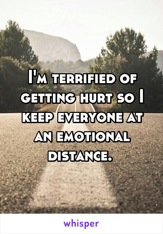 I'm terrified of getting hurt so I keep everyone at an emotional distance. 