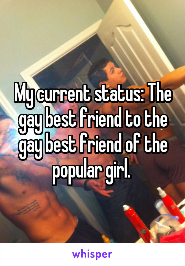 My current status: The gay best friend to the gay best friend of the popular girl. 