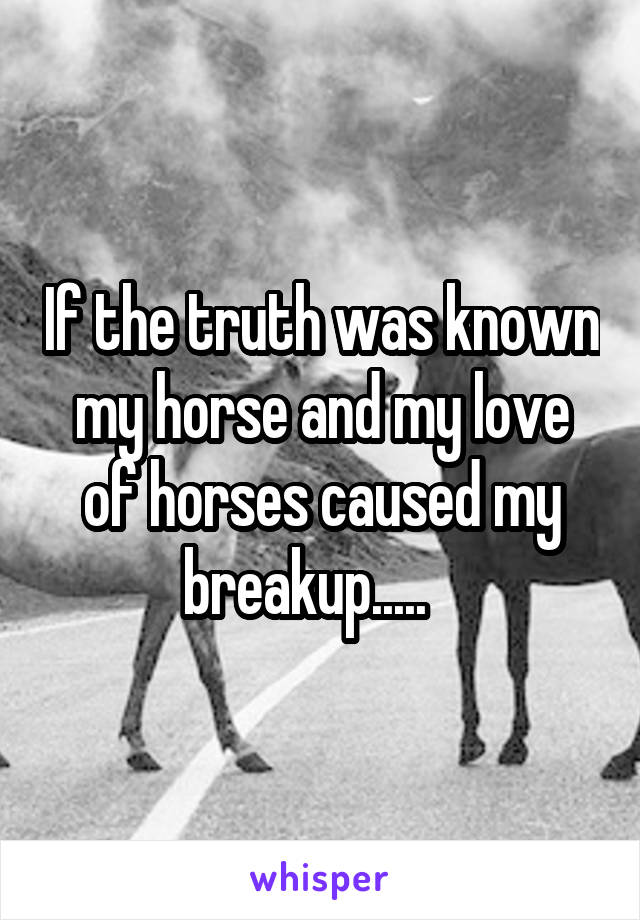 If the truth was known my horse and my love of horses caused my breakup.....   