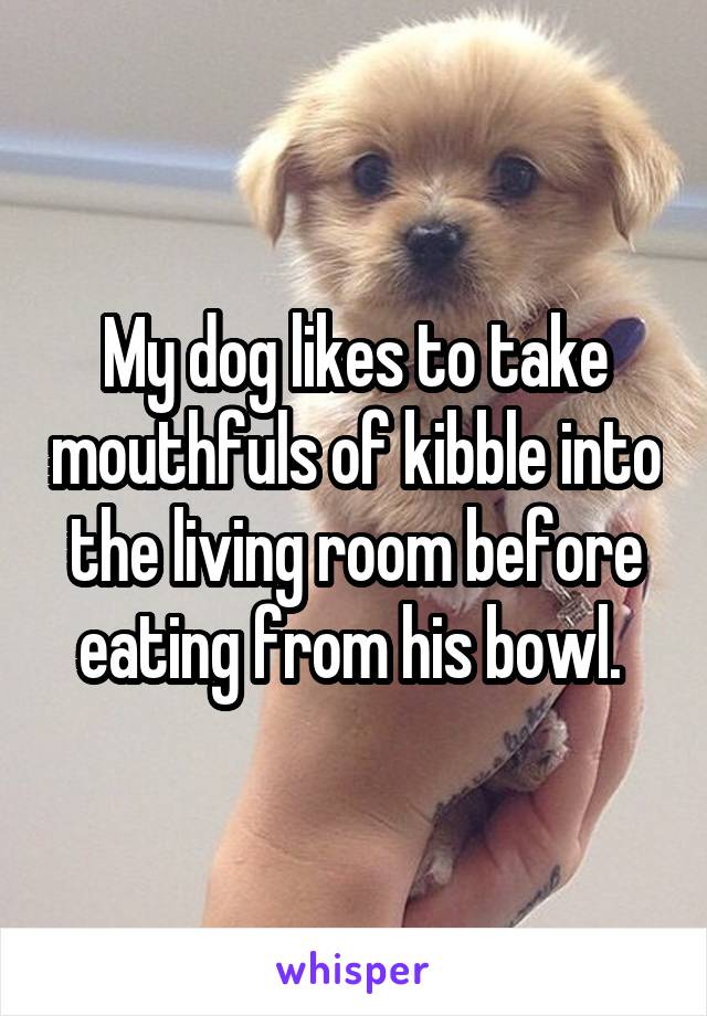 My dog likes to take mouthfuls of kibble into the living room before eating from his bowl. 