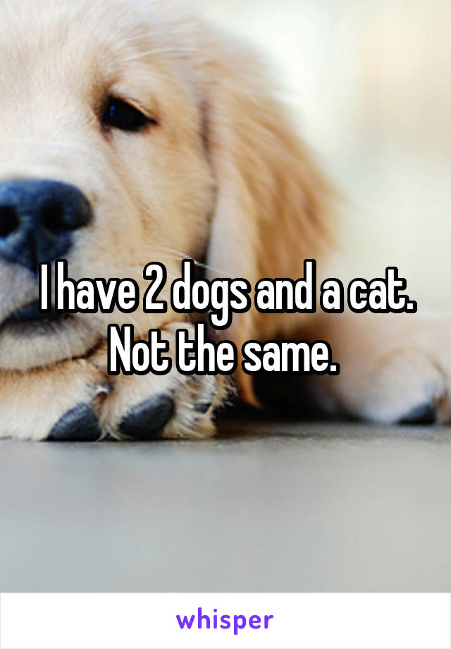 I have 2 dogs and a cat. Not the same. 
