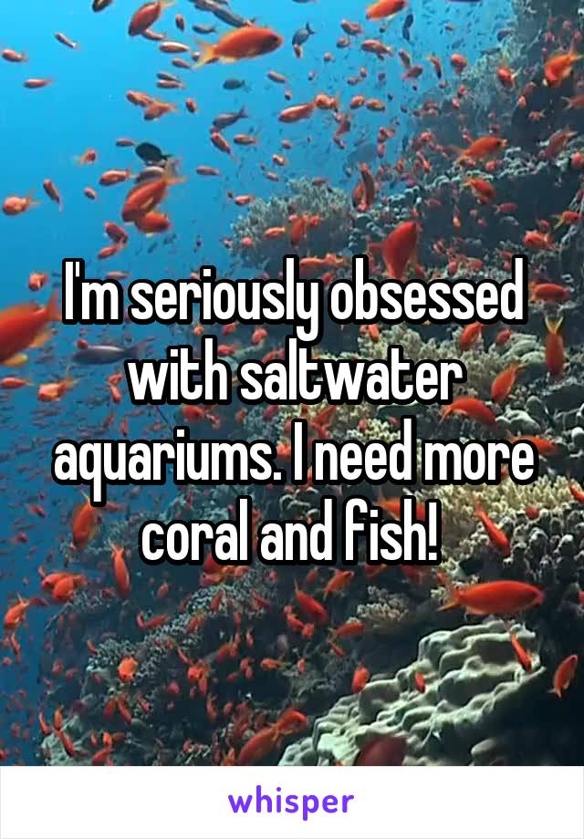 I'm seriously obsessed with saltwater aquariums. I need more coral and fish! 