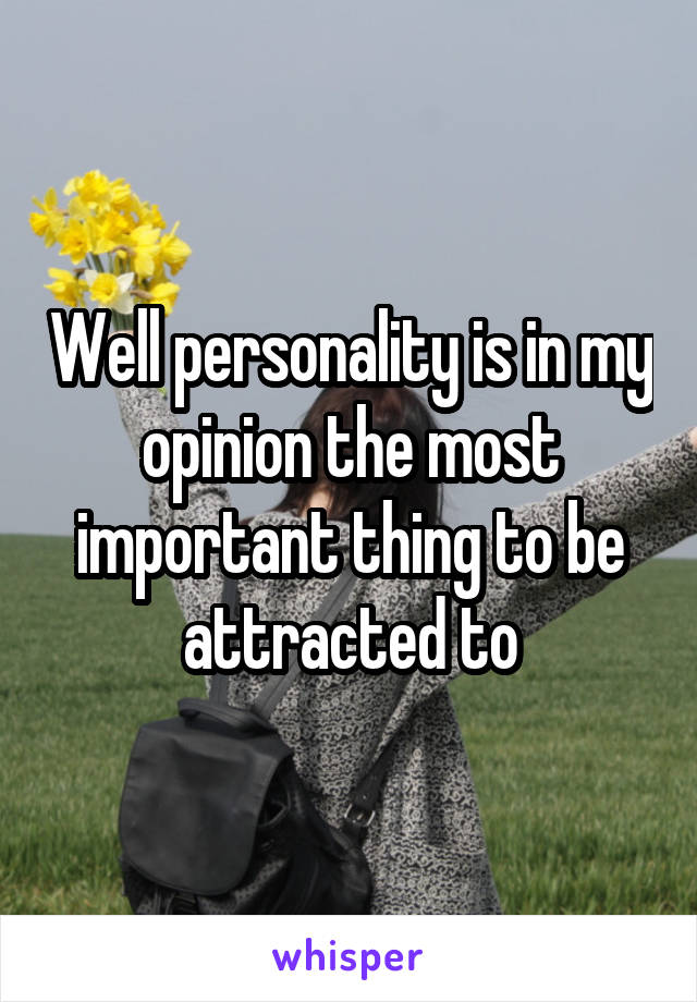 Well personality is in my opinion the most important thing to be attracted to