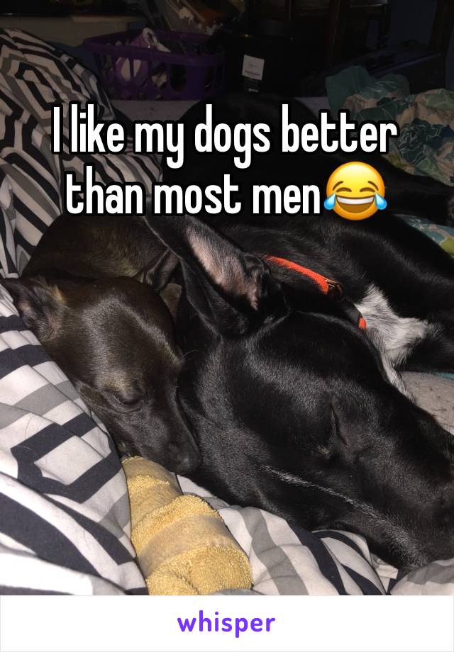 I like my dogs better than most men😂