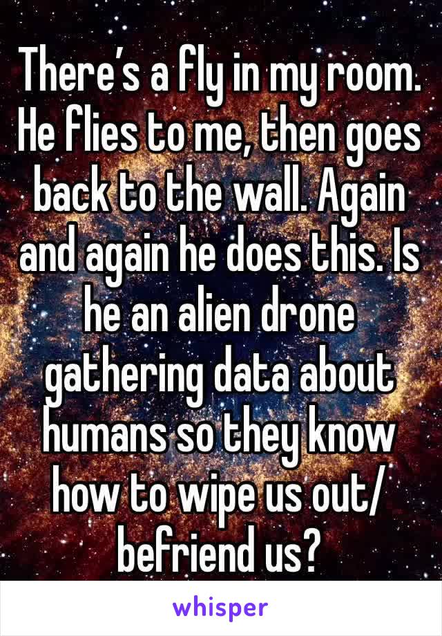 There’s a fly in my room. 
He flies to me, then goes back to the wall. Again and again he does this. Is he an alien drone gathering data about humans so they know how to wipe us out/befriend us?