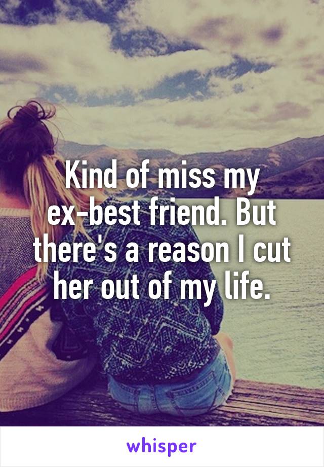 Kind of miss my ex-best friend. But there's a reason I cut her out of my life.
