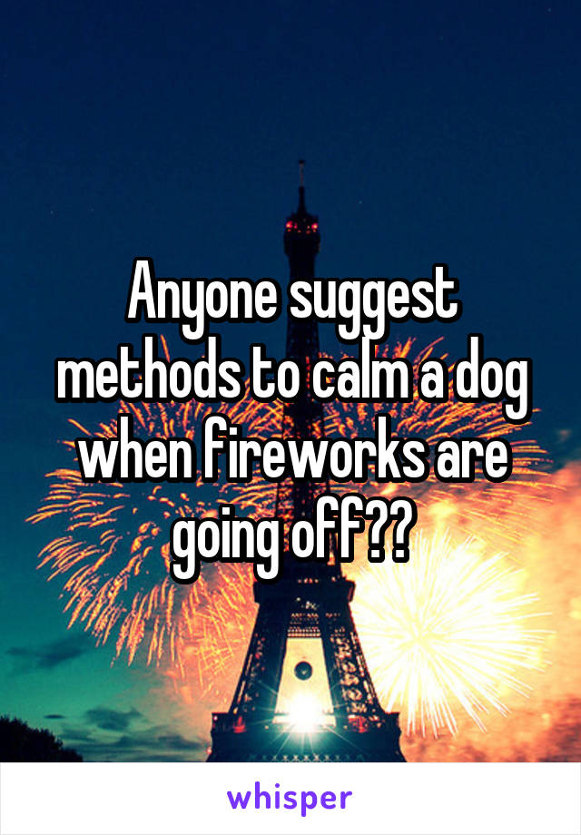 Anyone suggest methods to calm a dog when fireworks are going off??
