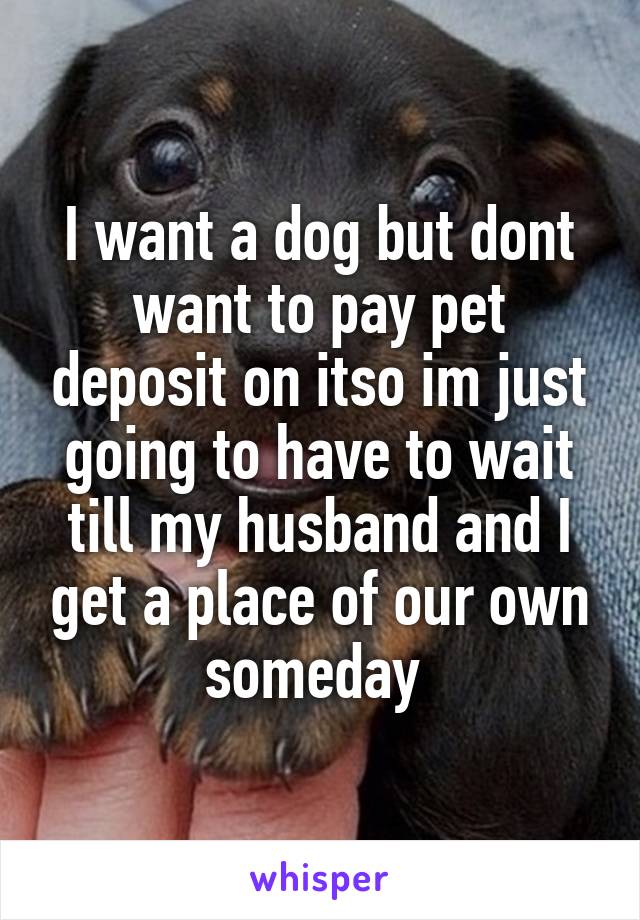 I want a dog but dont want to pay pet deposit on itso im just going to have to wait till my husband and I get a place of our own someday 