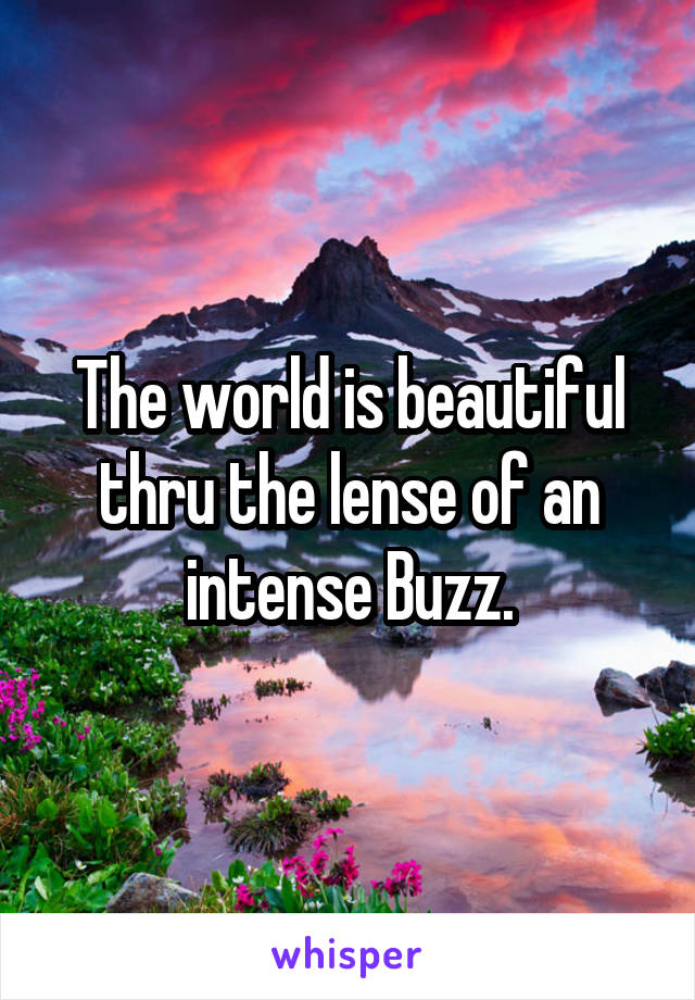 The world is beautiful thru the lense of an intense Buzz.