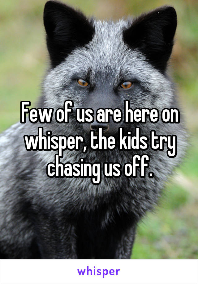 Few of us are here on whisper, the kids try chasing us off.