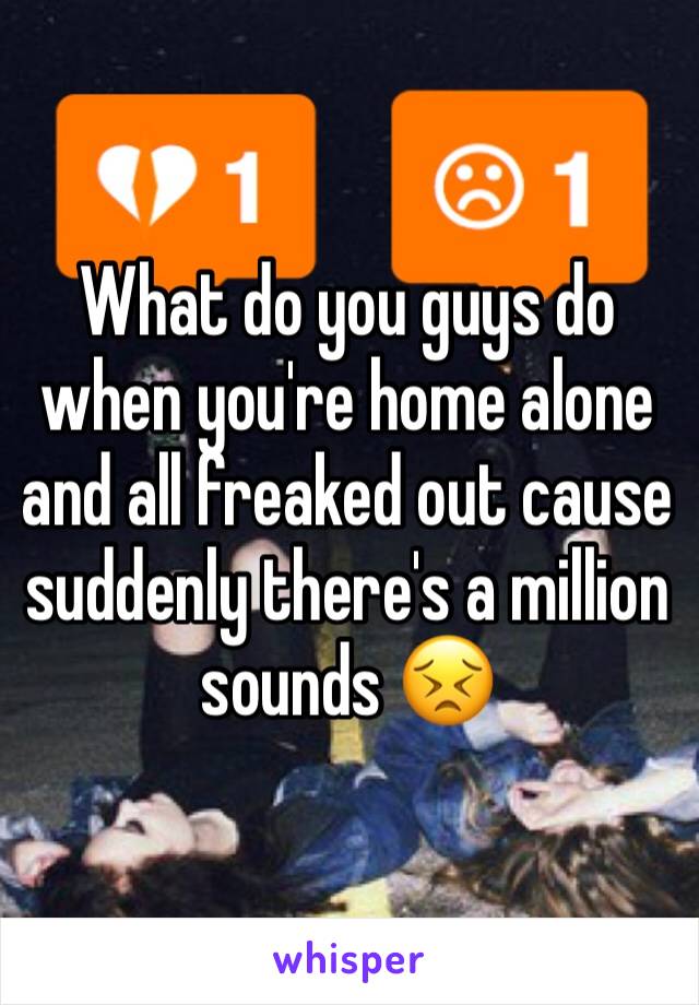 What do you guys do when you're home alone and all freaked out cause suddenly there's a million sounds 😣