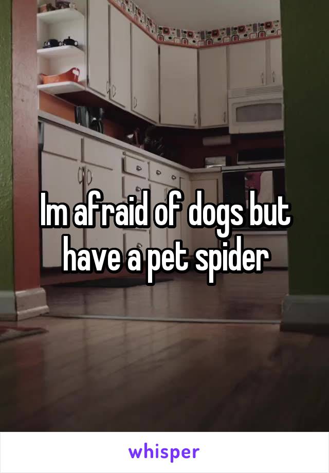 Im afraid of dogs but have a pet spider