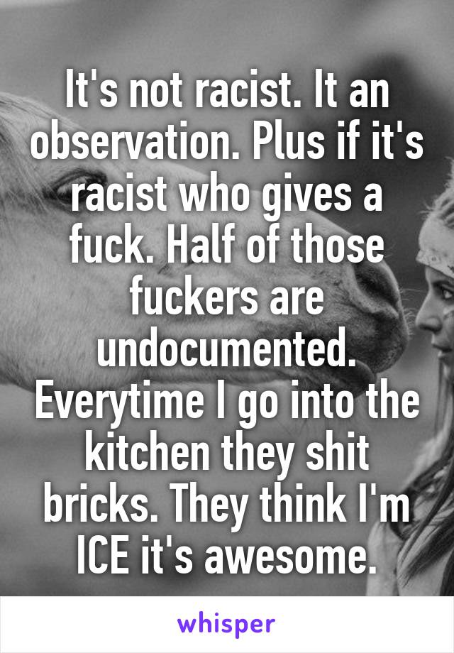 It's not racist. It an observation. Plus if it's racist who gives a fuck. Half of those fuckers are undocumented. Everytime I go into the kitchen they shit bricks. They think I'm ICE it's awesome.