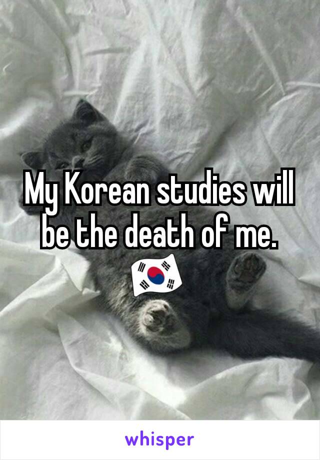 My Korean studies will be the death of me. 🇰🇷 