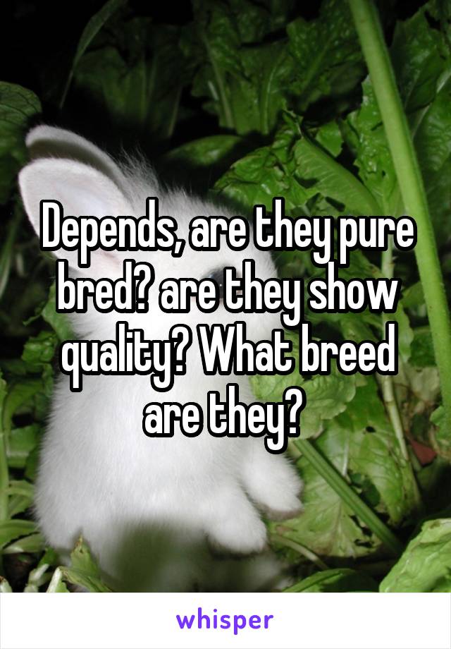 Depends, are they pure bred? are they show quality? What breed are they? 