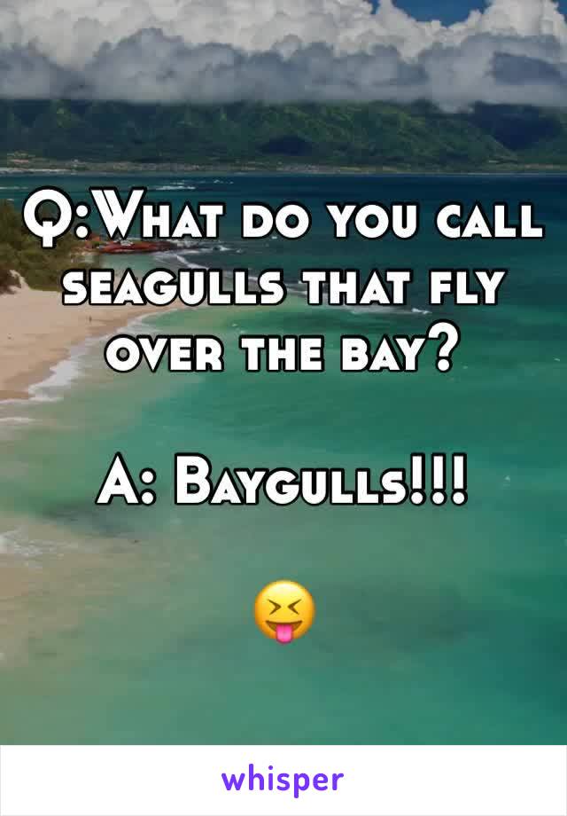 Q:What do you call seagulls that fly over the bay?

A: Baygulls!!!

😝