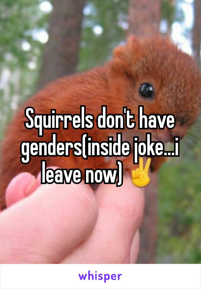 Squirrels don't have genders(inside joke...i leave now)✌