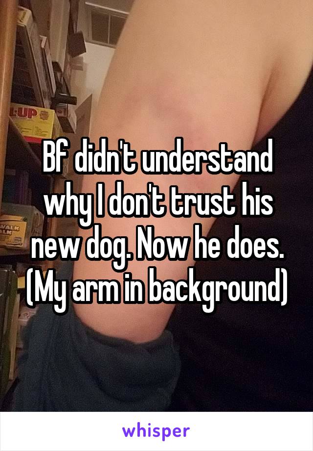 Bf didn't understand why I don't trust his new dog. Now he does. (My arm in background)