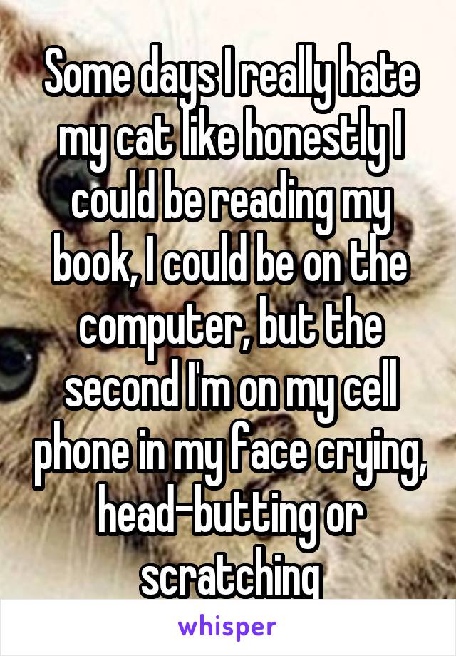 Some days I really hate my cat like honestly I could be reading my book, I could be on the computer, but the second I'm on my cell phone in my face crying, head-butting or scratching