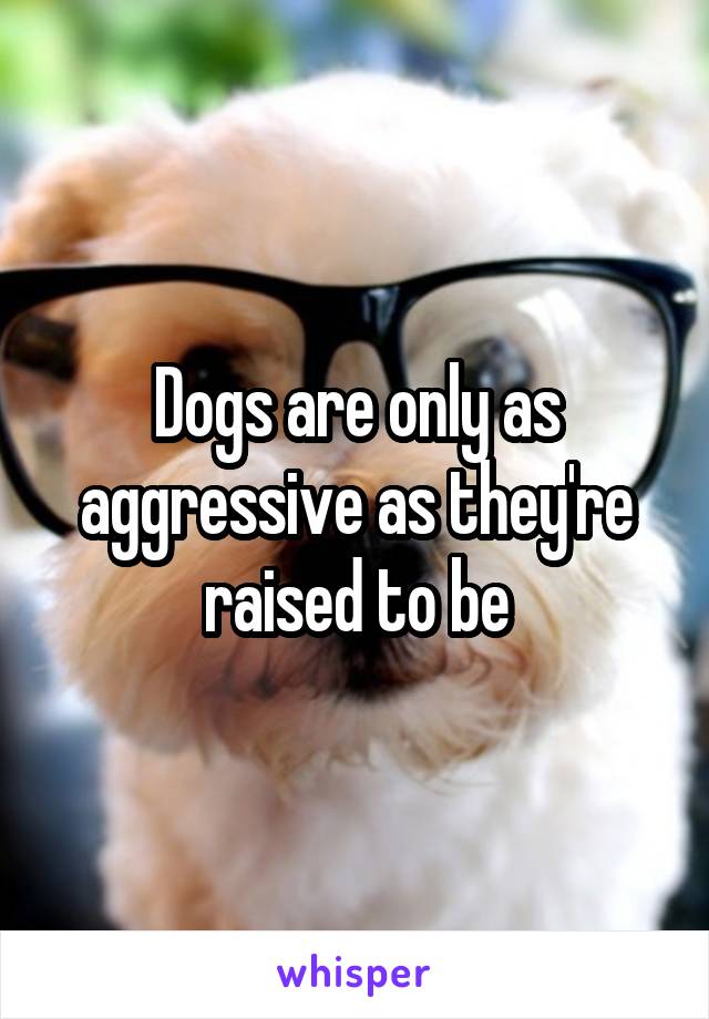 Dogs are only as aggressive as they're raised to be